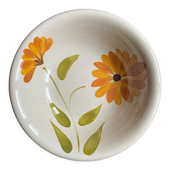 Primula salad bowl