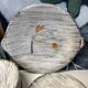 Set of dessert and dinner plates Langeac les Salins