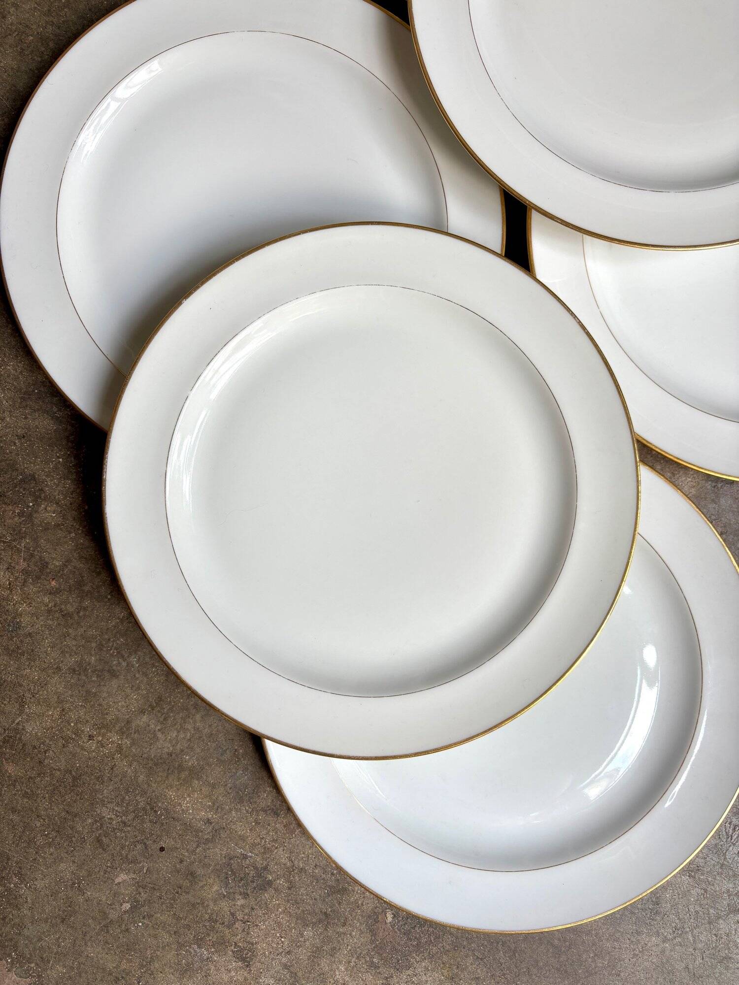 6 A. Vignaud dinner plates in gilded Limoges porcelain - Pavillon Dam