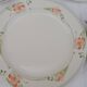 10 Villeroy & Boch vitro porcelain plates Miami model diam 23 cm