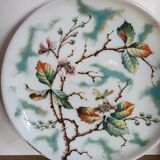 Opaline dish natural pattern