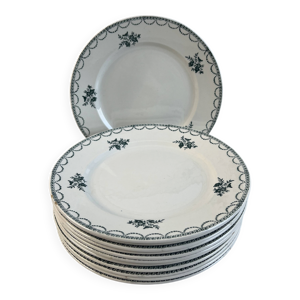 Lot de 12 assiettes plates