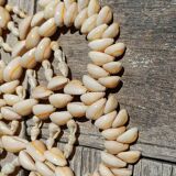 Shell trivet