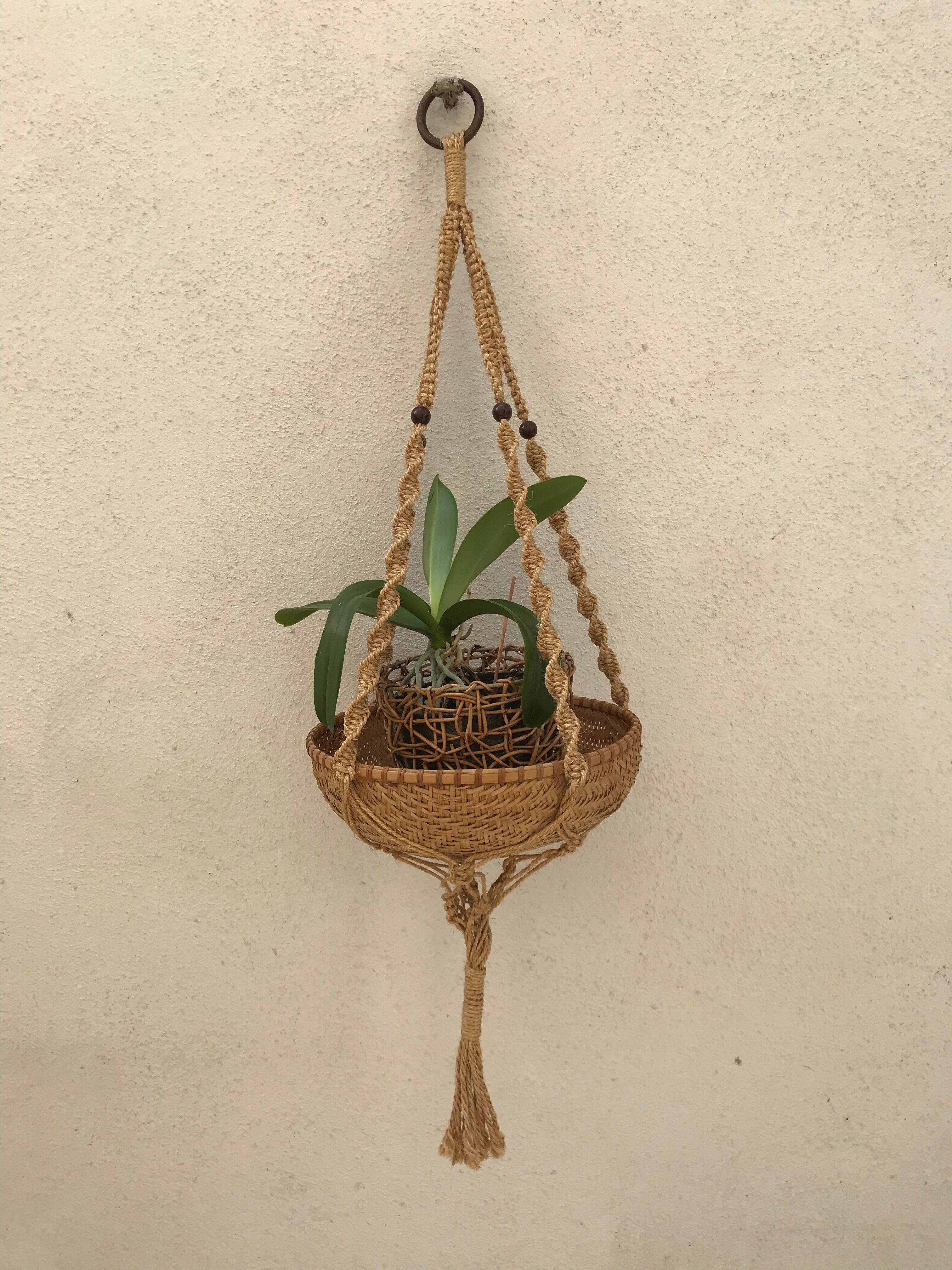 Plant door in macramé