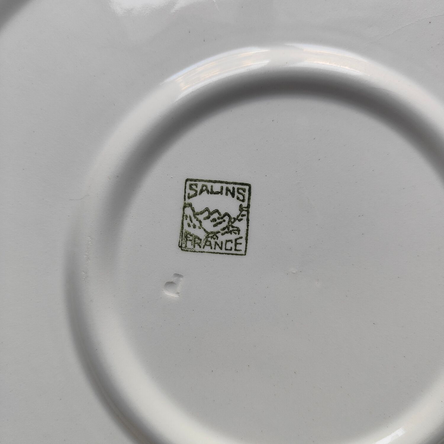 Salins dish