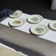 Set of 6 vintage Limoges porcelain plates with fish design.