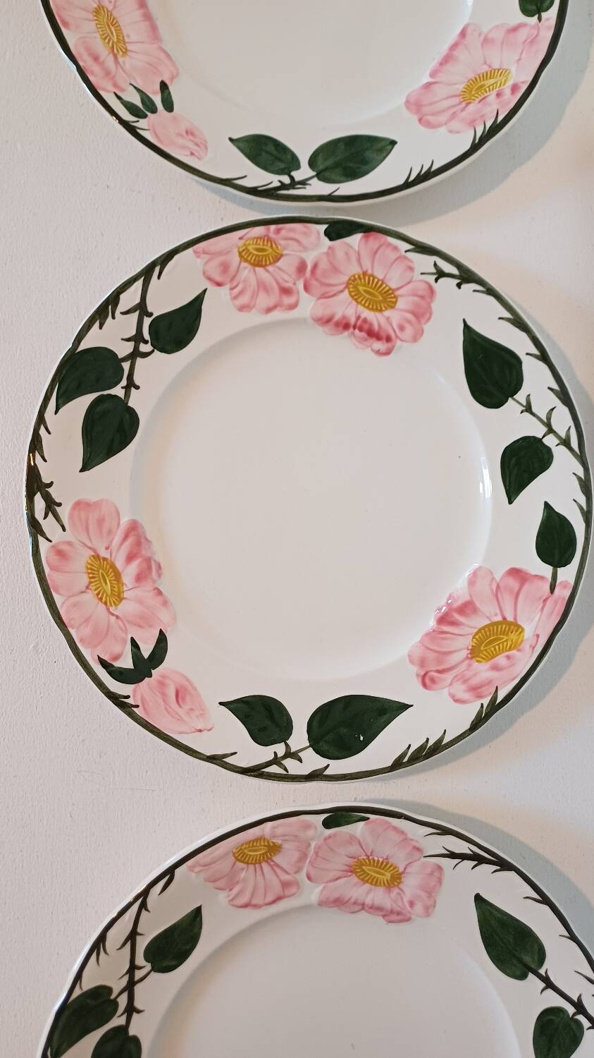 Set of 6 Wild Rose dinner plates Villeroy and Boch