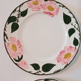 Ensemble de 6 assiettes plates Wild Rose Villeroy et Boch