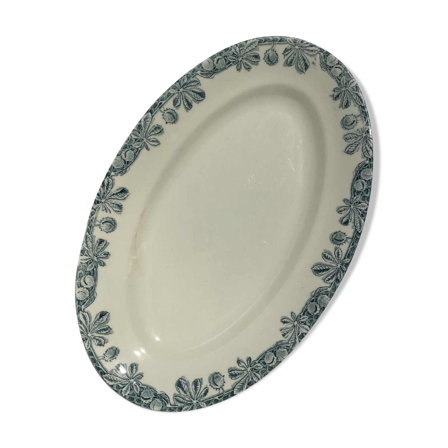 Flat Terre de Fer Salins Savoie blue grayed chestnut