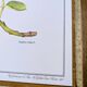 Printed in 1986, The Walnut Tree. Vintage Botanical