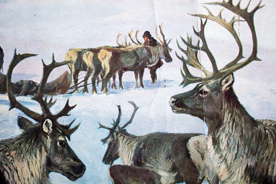 Poster "Reindeer" Grid Educational A. Wagner 1923