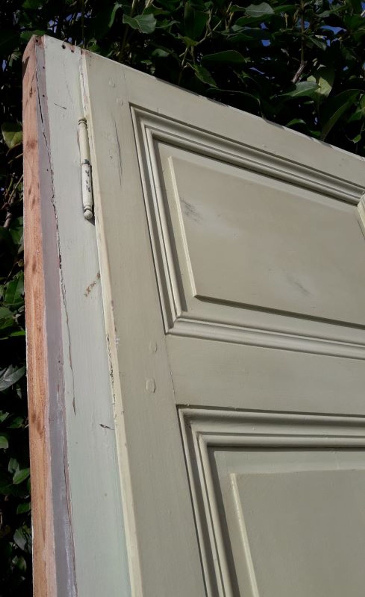 Porte 67.2x237.2cm de placard et son cadre