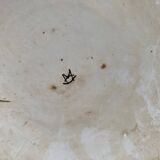 Set of 2 decorative earthenware plates from Desvres