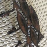 Patère school of fish