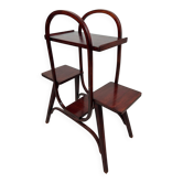 Jugendstil plante stan par Thonet