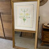 Trumeau old gilded mirror