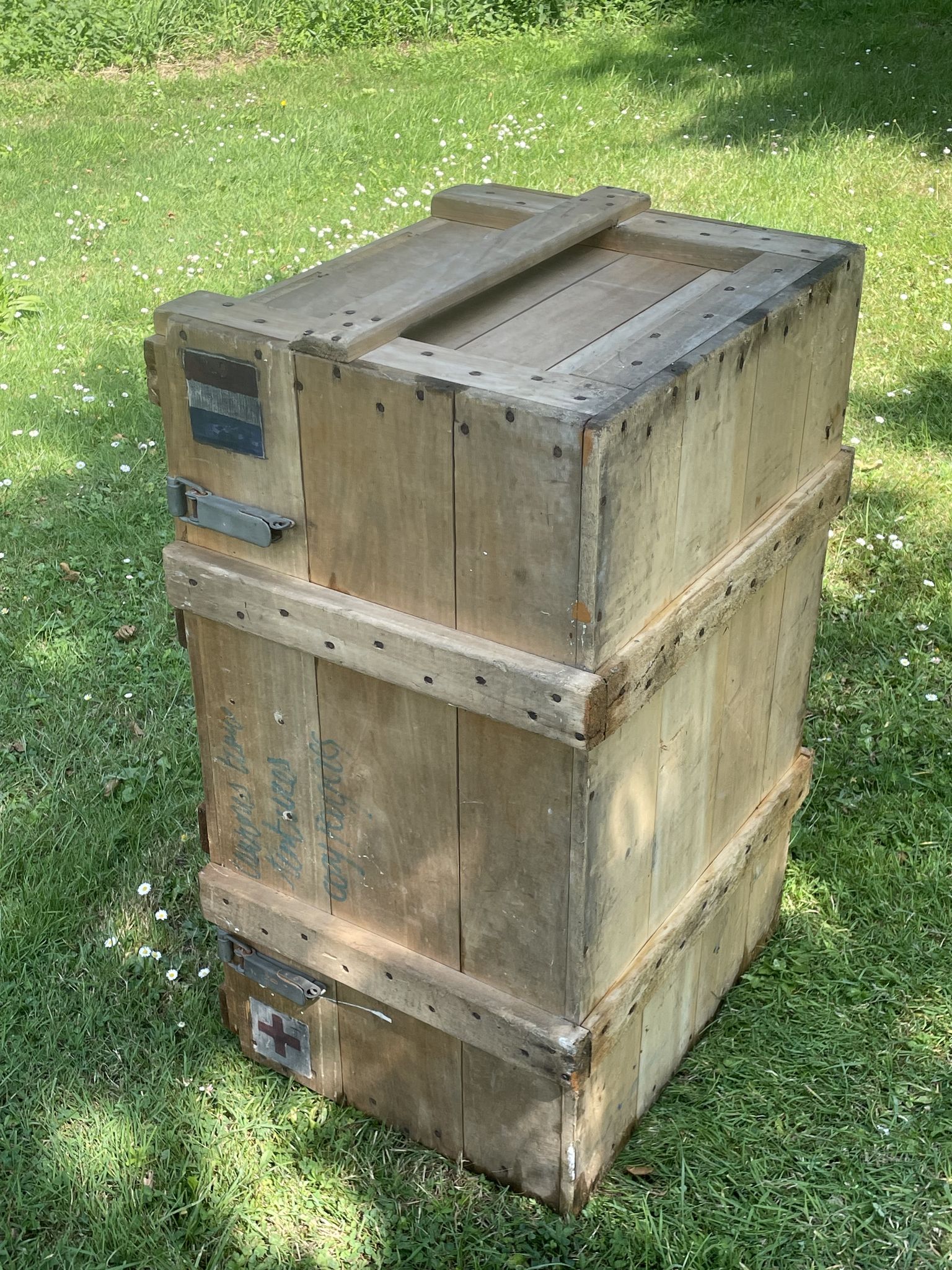 Trunk, natural wood box, very healthy