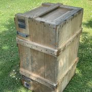 Trunk, natural wood box, very healthy