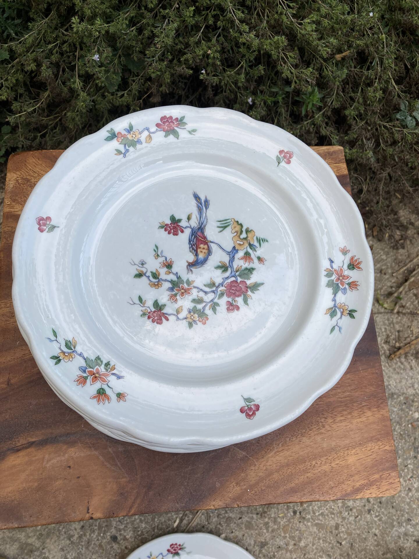 Sarreguemines plates paradise birds / Phoenix