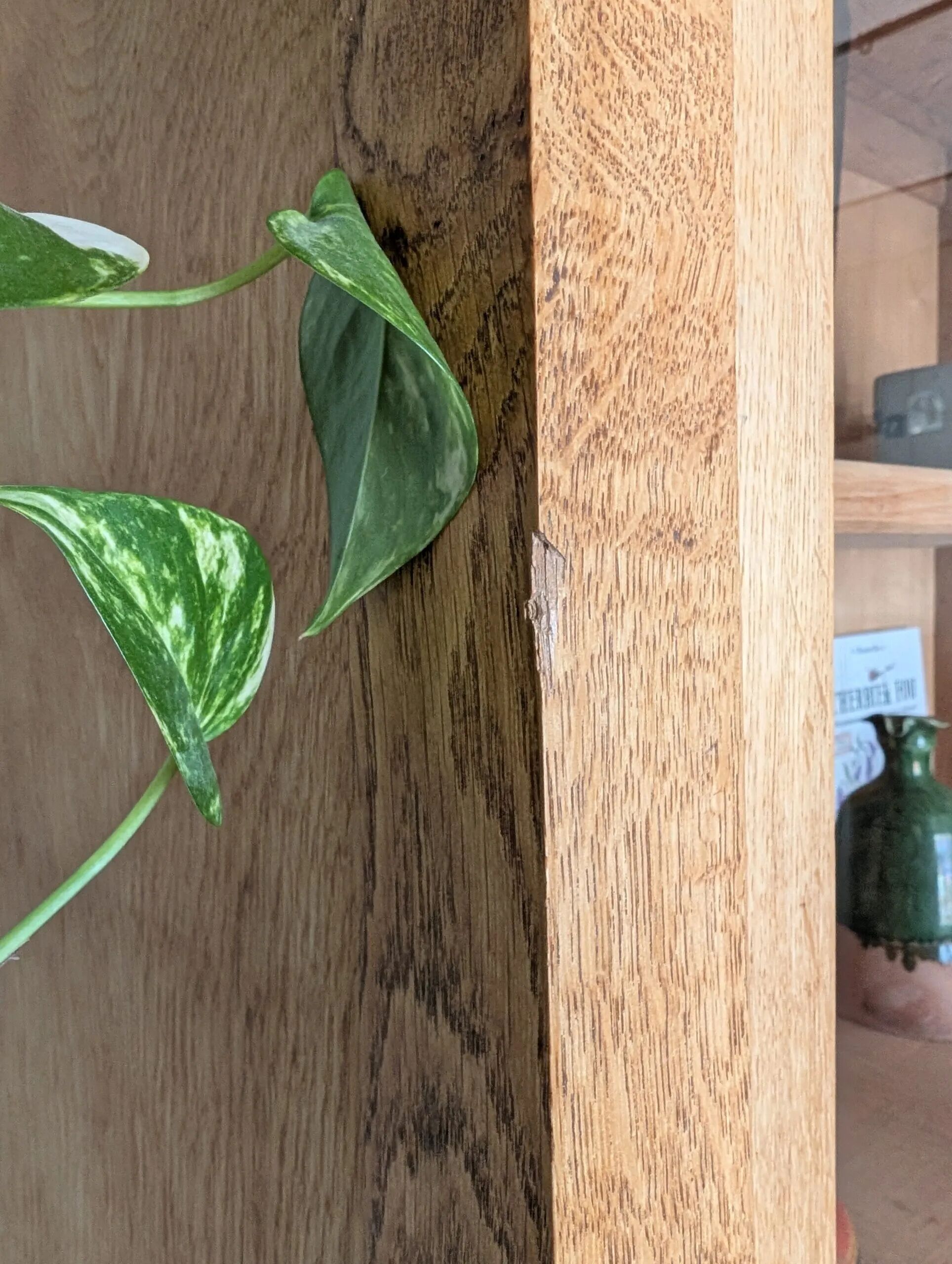 Vintage 1950s light oak school display cabinet – Vintage bookshelf
