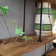 Industrial shelf wood and metal