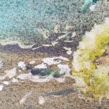 Oil on canvas "daisies pomponettes"