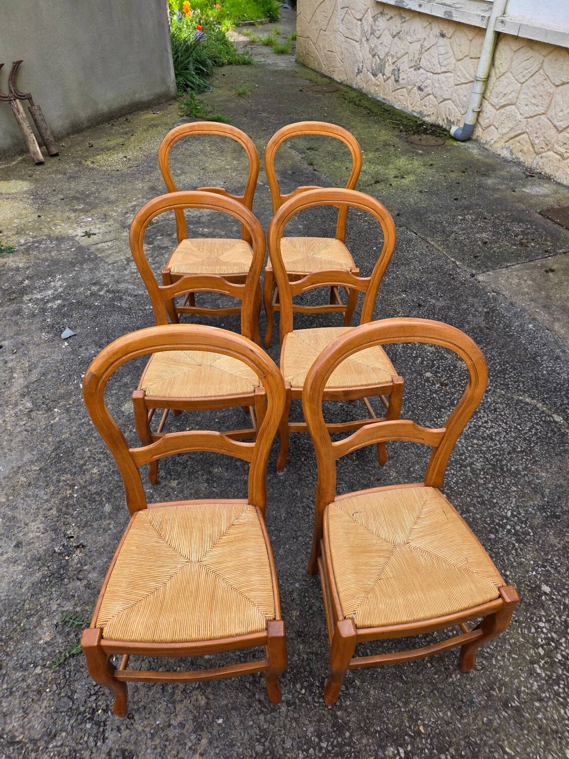 Suite de 6 chaises paillées en merisier - années 60