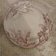 10 antique ironstone dinner plates