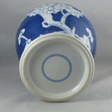 Chinese potiche blue white China
