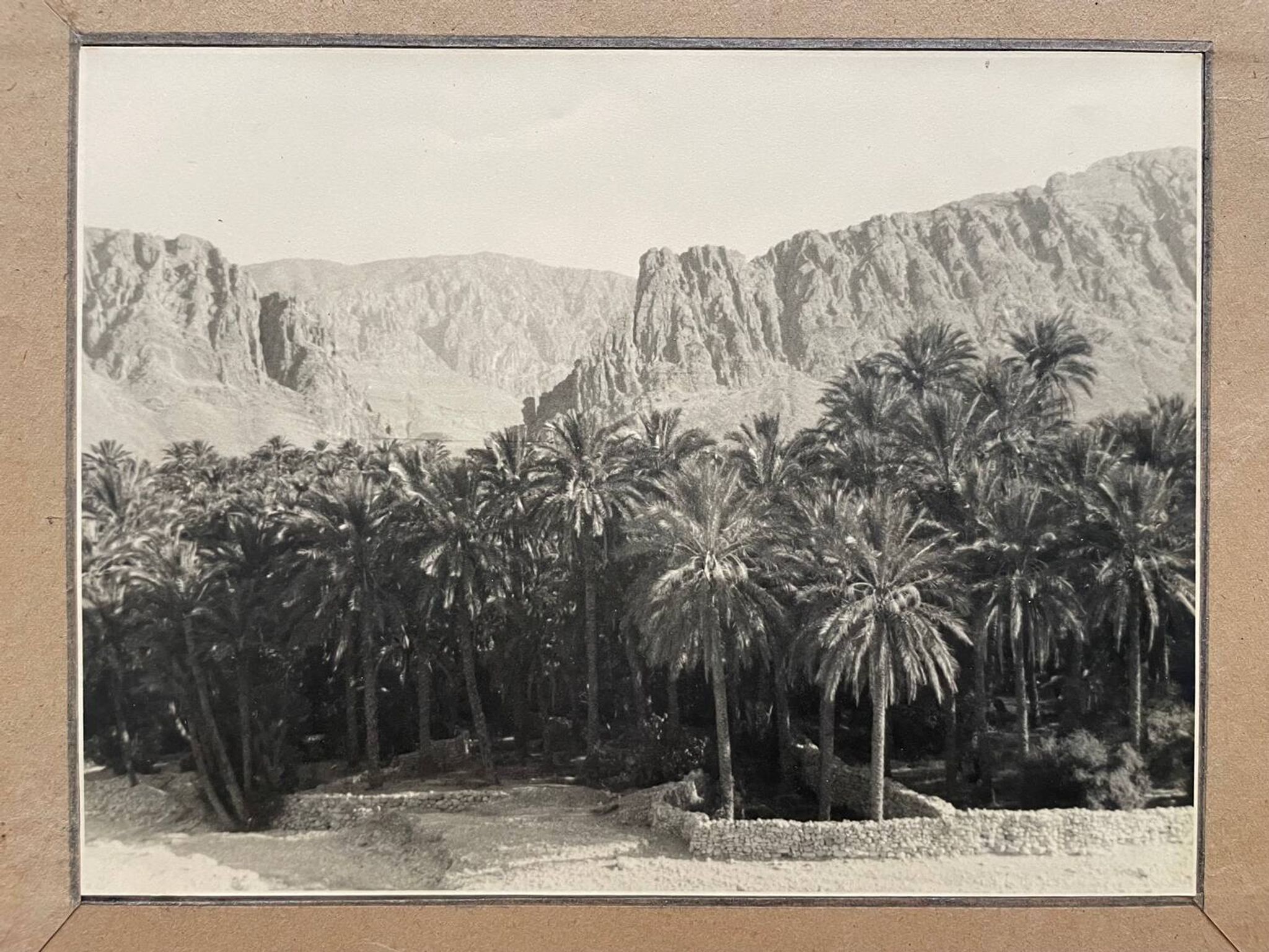 Photographie ancienne collection Algérie Oasis El Kantara Circa 1950