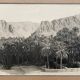 Old photograph collection Algeria Oasis El Kantara Circa 1950