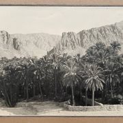 Photographie ancienne collection Algérie Oasis El Kantara Circa 1950