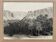 Old photograph collection Algeria Oasis El Kantara Circa 1950