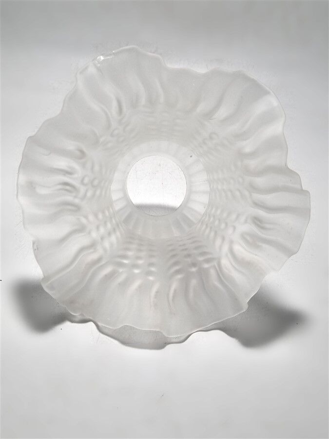 Glass tulip