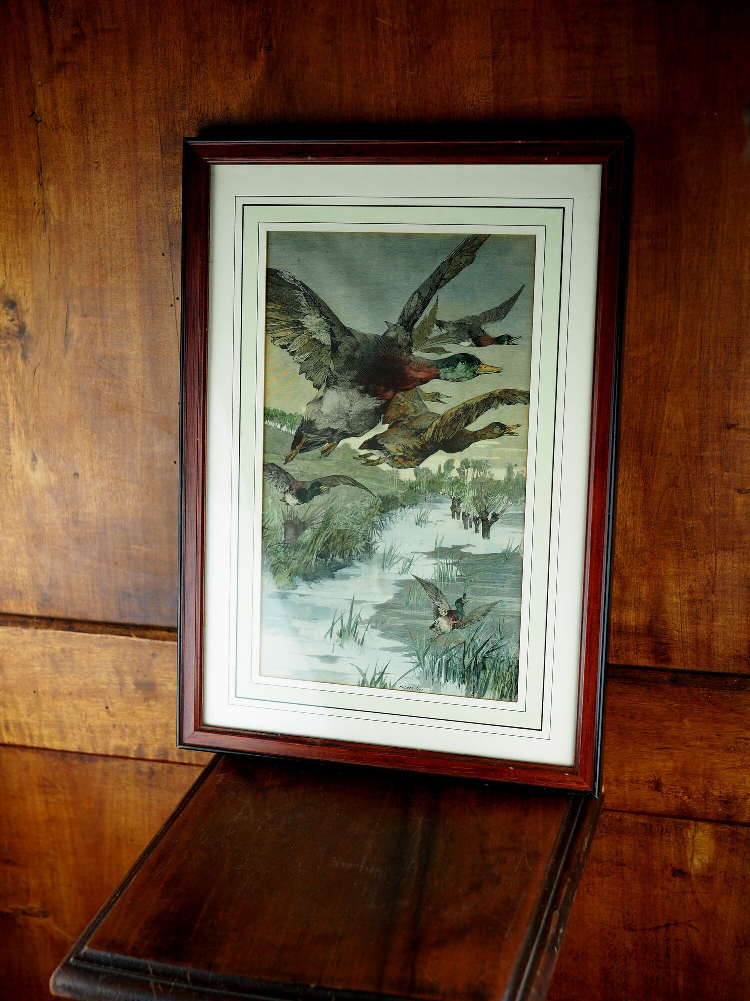 Flight of ducks, marshes and tetard willows - chromolithography Jules Habert-Dys - 1880