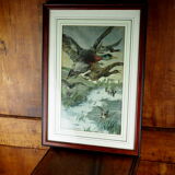 Flight of ducks, marshes and tetard willows - chromolithography Jules Habert-Dys - 1880