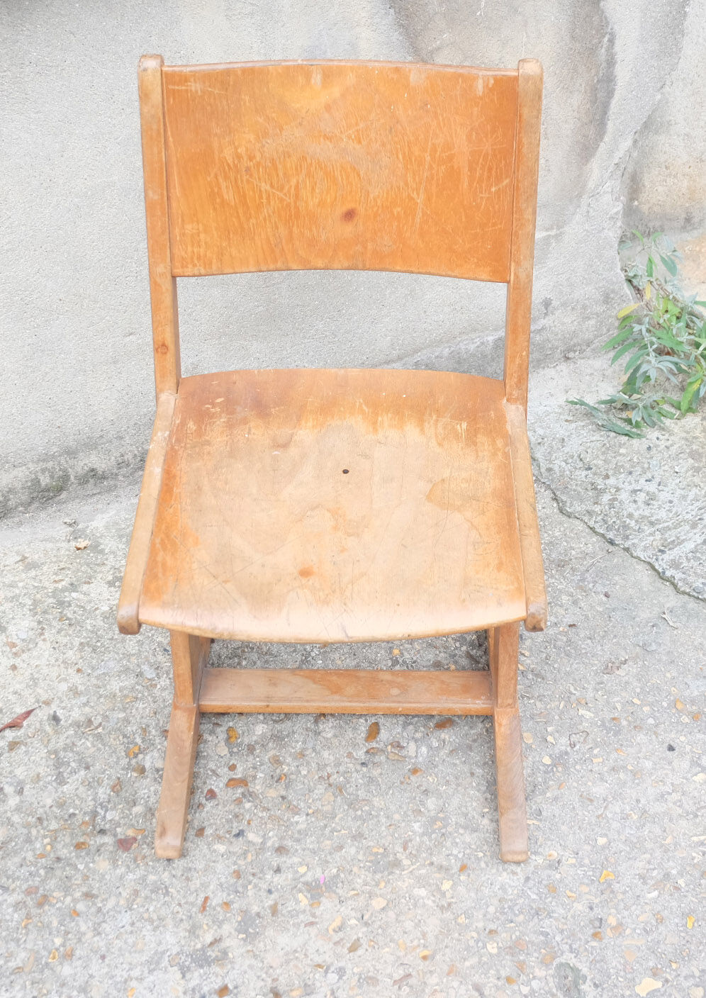 Chaise Casala adulte