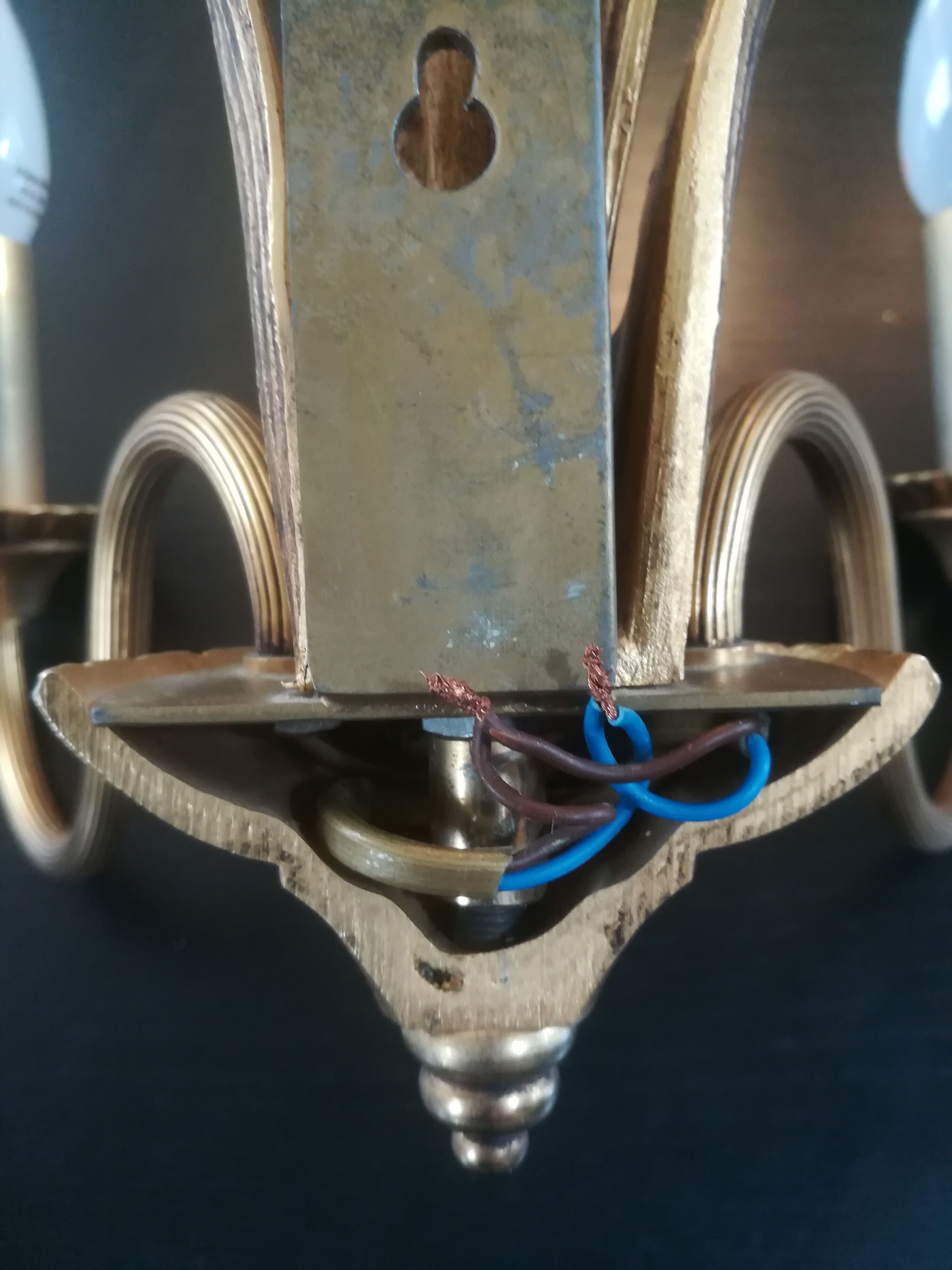 Paire d'appliques palmier en bronze et laiton