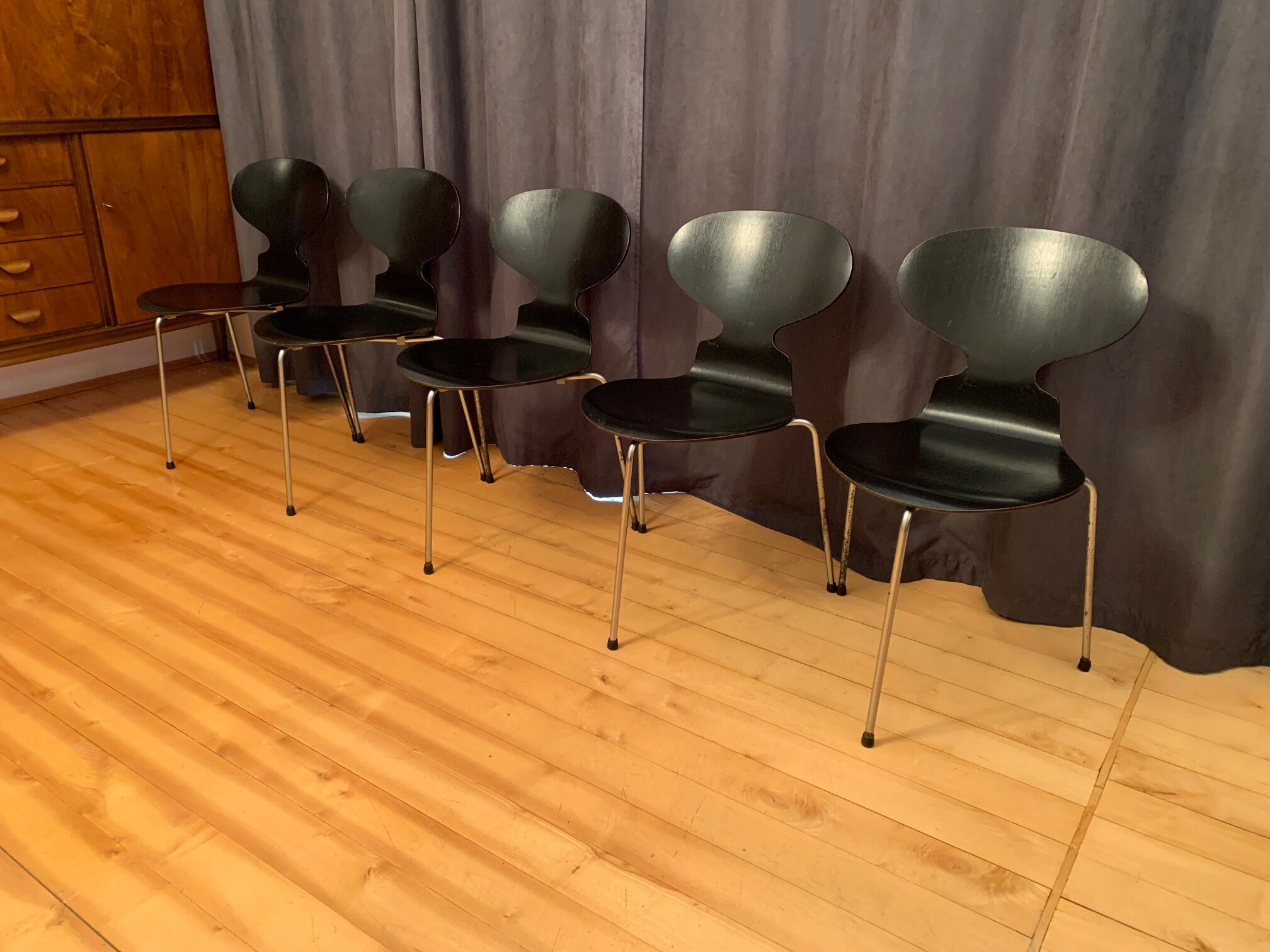 A set of five chairs Early model 3100 by Arne Jacobsen, Fritz Hansen, Denmark, 1963