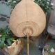 Chinese wall event in vintage bamboo