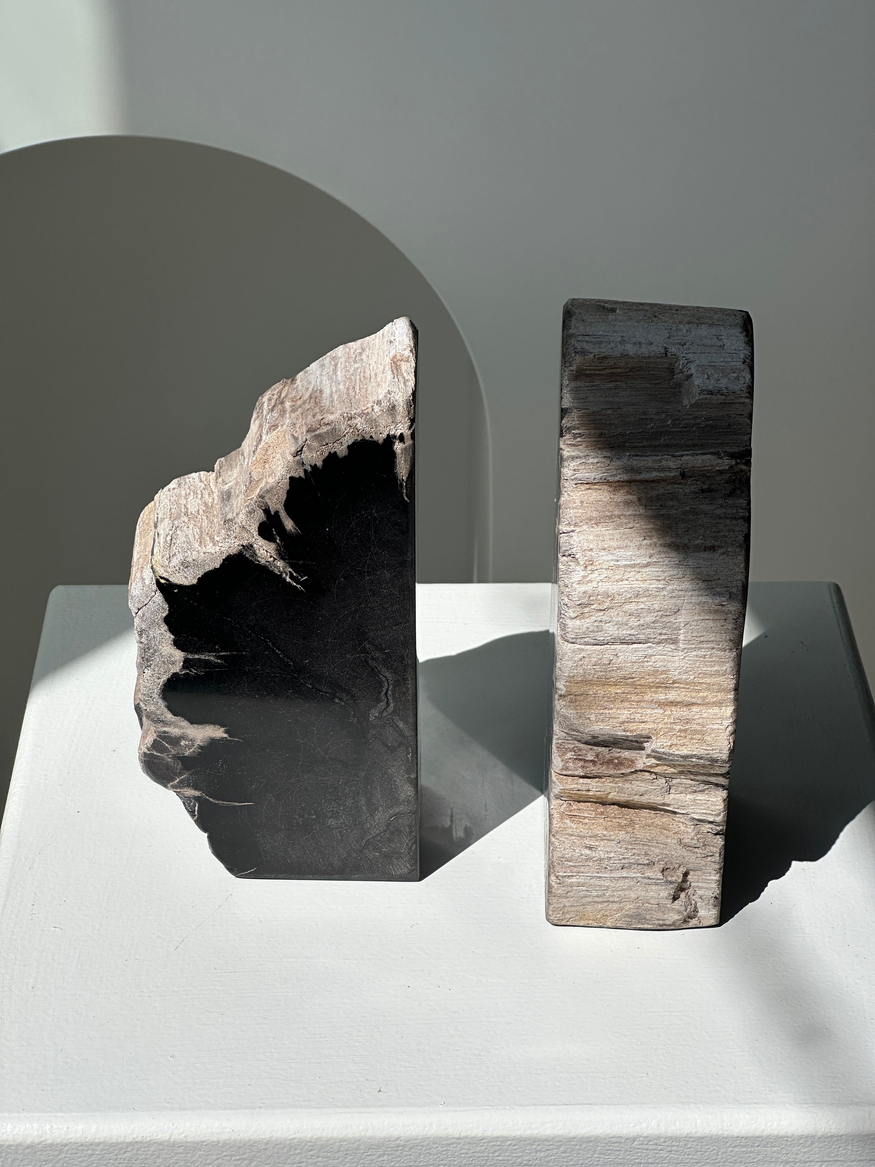 Black petrified wood bookend H17 L17 P6