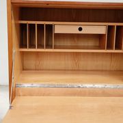 Office Secretary by Frantisek Mezulanik for UP Zavody 1960