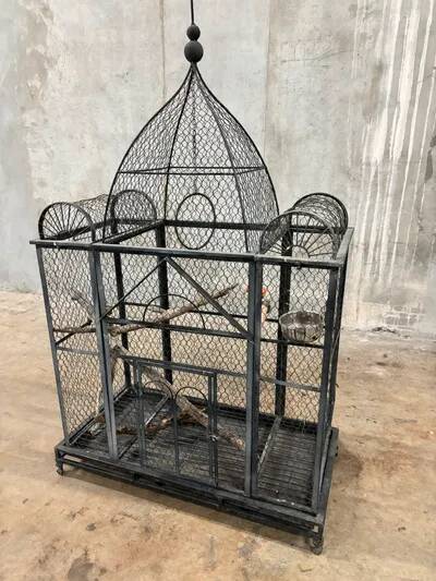 Aviary bird cage