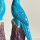 Pair of phenix birds chinese porcelain early 20th century