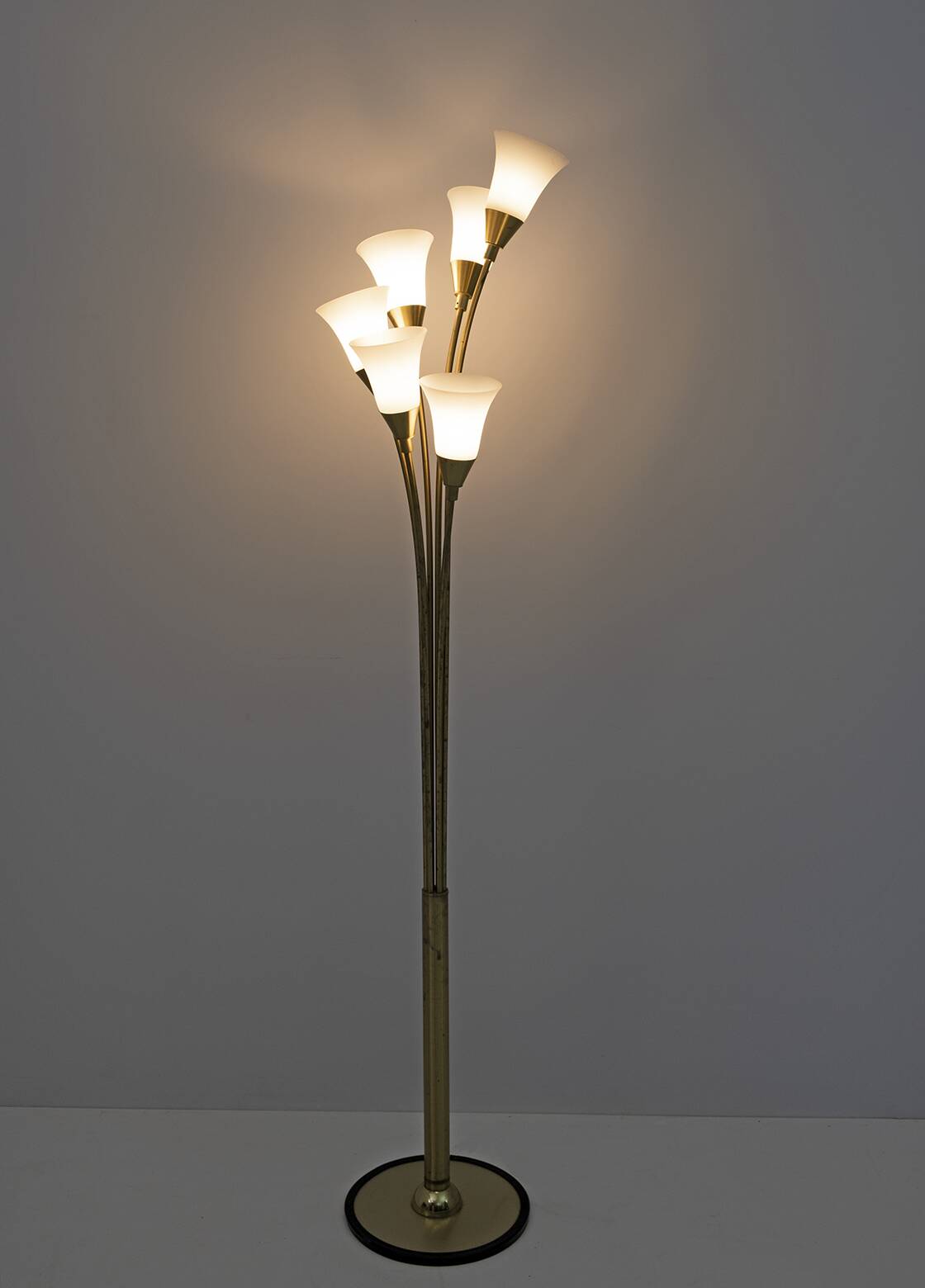 Mid-Century Modern Italian Opaline Glass and Gilt Brass Tulip Floor Lamp,60