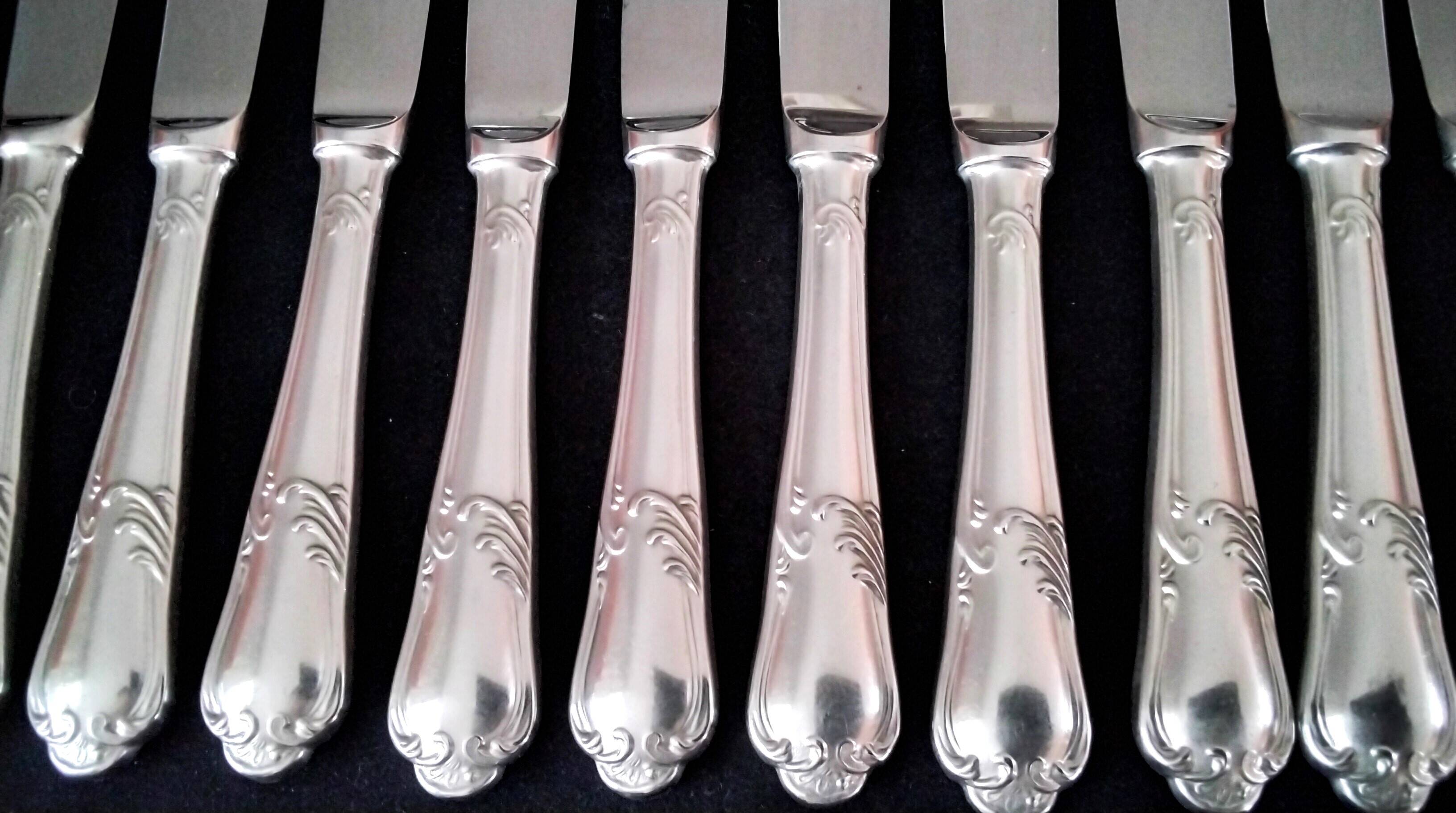 12 Guy Degrenne Rocaille Pattern Table Knives