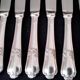 12 Guy Degrenne Rocaille Pattern Table Knives