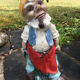 Garden gnome.