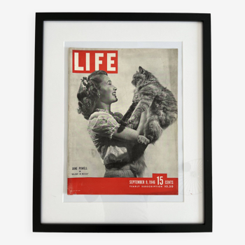 Life magazine framed cover 40s 50s 60s design eames era chat cat kittin