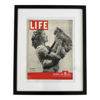 Life magazine framed cover 40s 50s 60s design eames era chat cat kittin